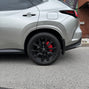Lexus NX Custom Caliper Covers