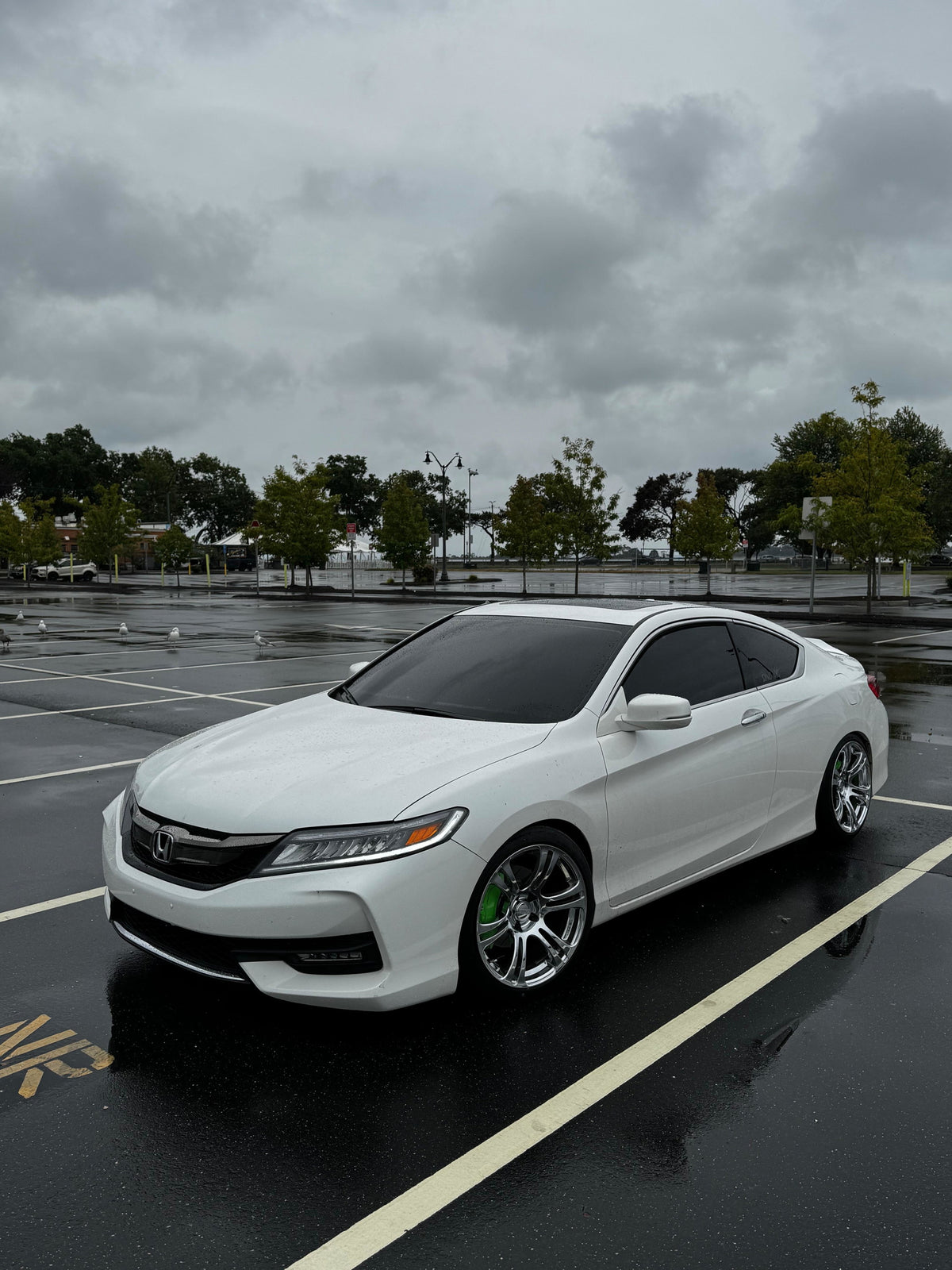 Calipers