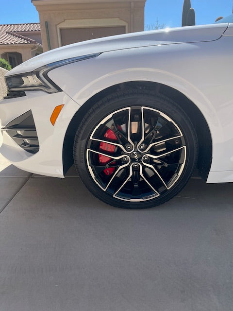 Cubiertas de pinza personalizadas para KIA Rio