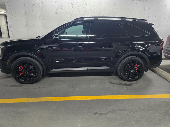 Cubiertas de pinza personalizadas para KIA Forte